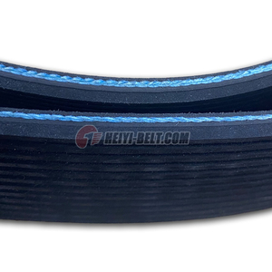 HEIYI V Ribbed Belt : PL , Section:L