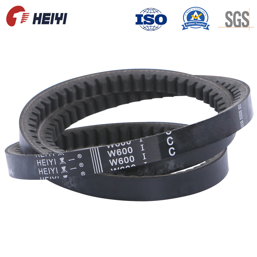 auto v belt