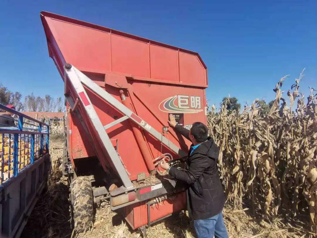 Heiyi Agricultural Service: autumn harvest service in northern China is in progress!