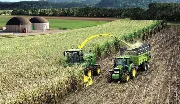 The 24 solar terms grain rain| Late spring brings summer