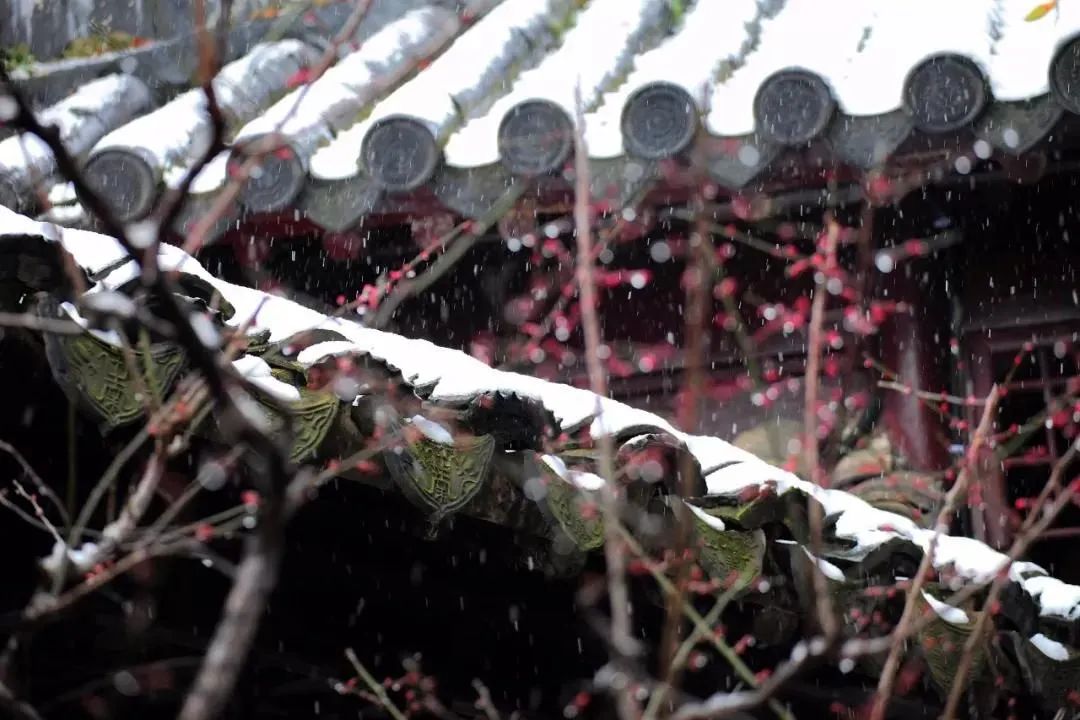Twenty-four solar terms | | the close of the year Minor cold