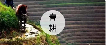 Heiyi toothed belt | spring ploughing begins, everything grows