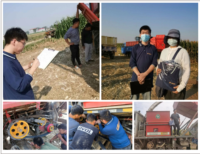 The autumn harvest in the north heilongjiang is beginning