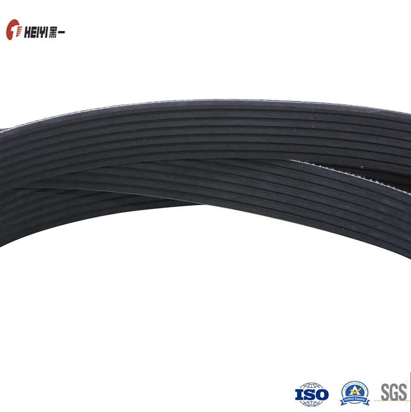 Fan Belt Vs Timing Belt
